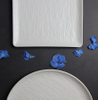 Service de vaisselle en porcelaine blanche mate - Fournisseur d'hôtel de Guangzhou