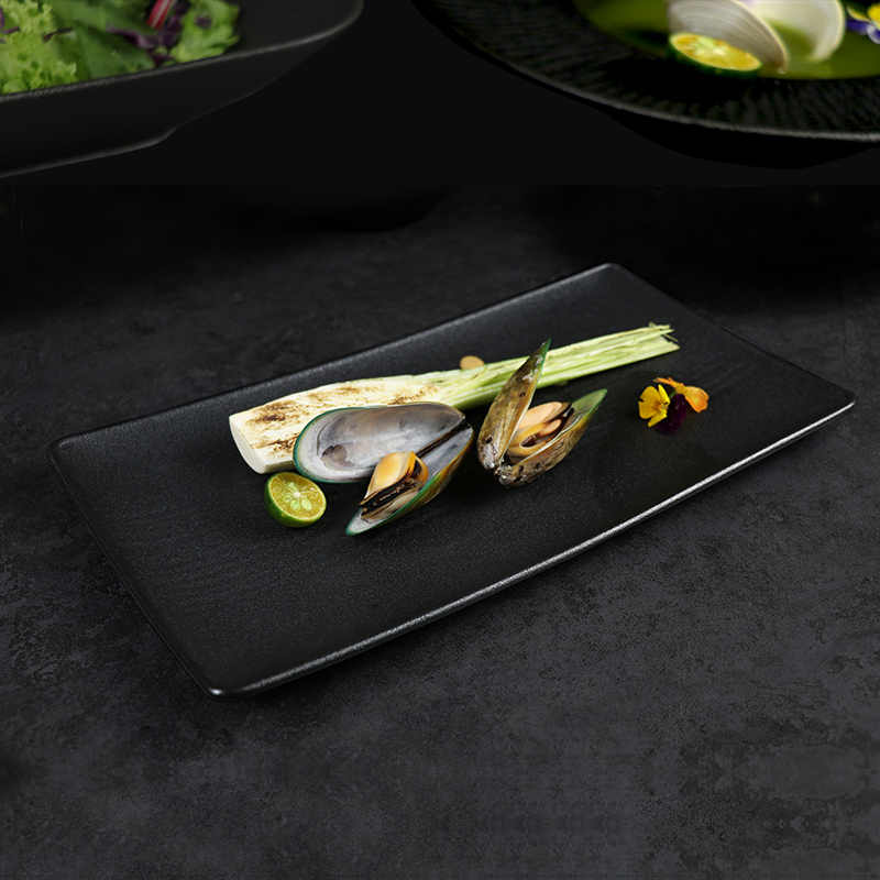 Assiette rectangulaire en porcelaine, vaisselle, nouveau Design, assiette de Restaurant noire mate