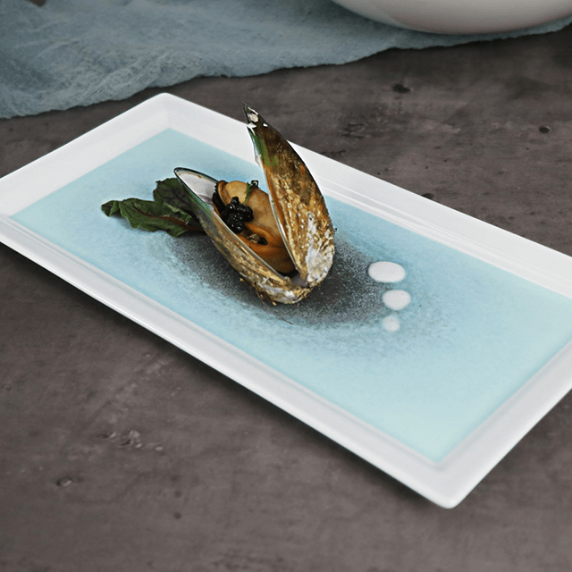 Vaisselle italienne Vaisselle Service de table en vaisselle mate française