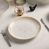 Vaisselle commerciale en porcelaine