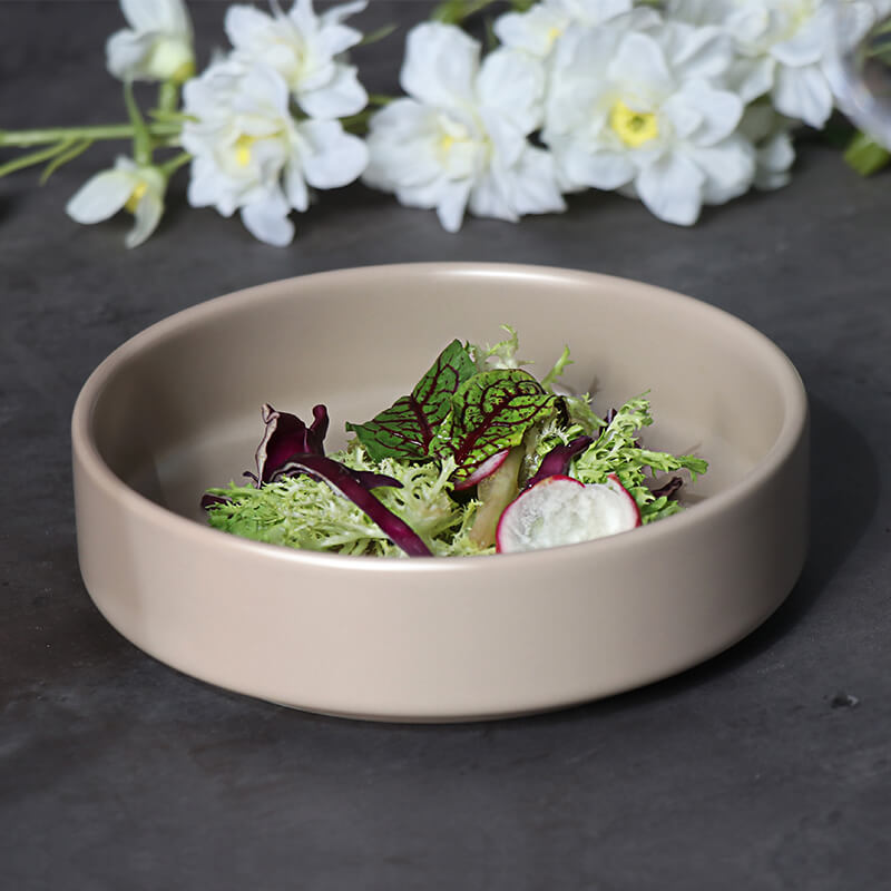 Assiette en porcelaine d'hôtel pour service de restauration