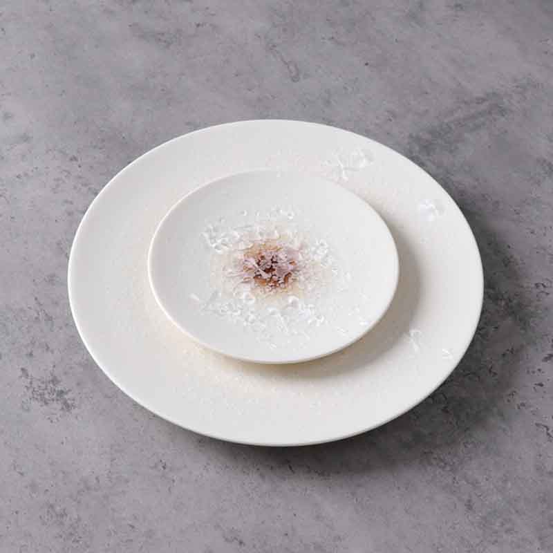 Fabricant de vaisselle en céramique de plaque de porcelaine d'hôtel