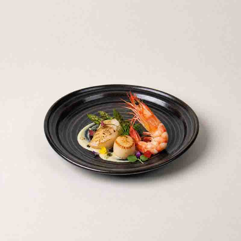 Fabricant de vaisselle en porcelaine de style restaurant en gros